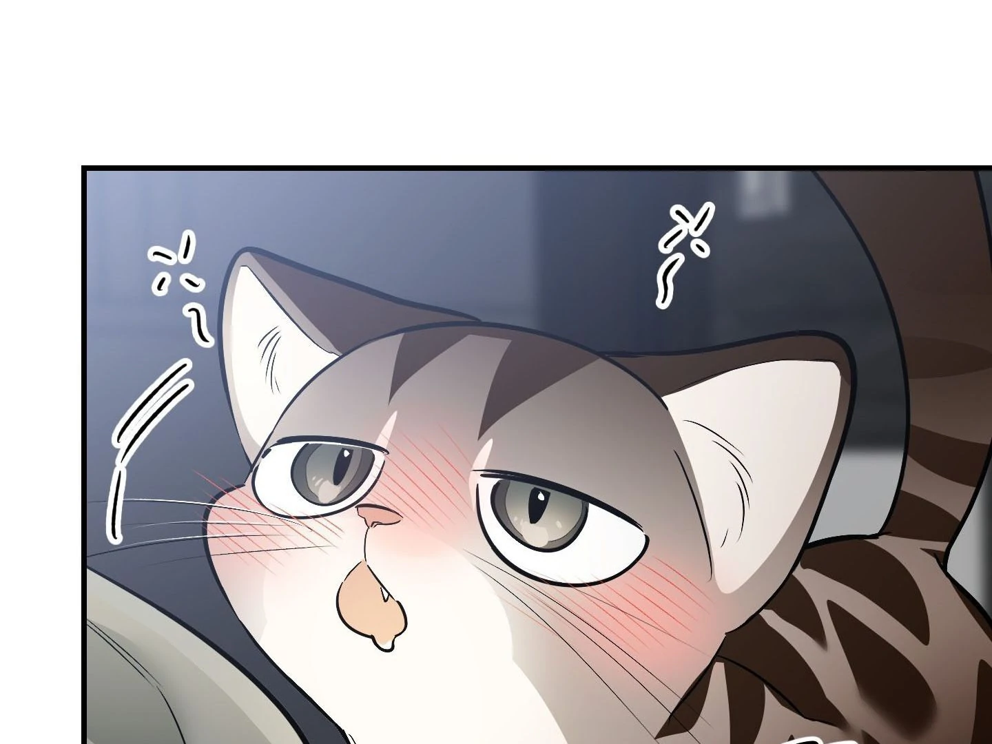 Page 355