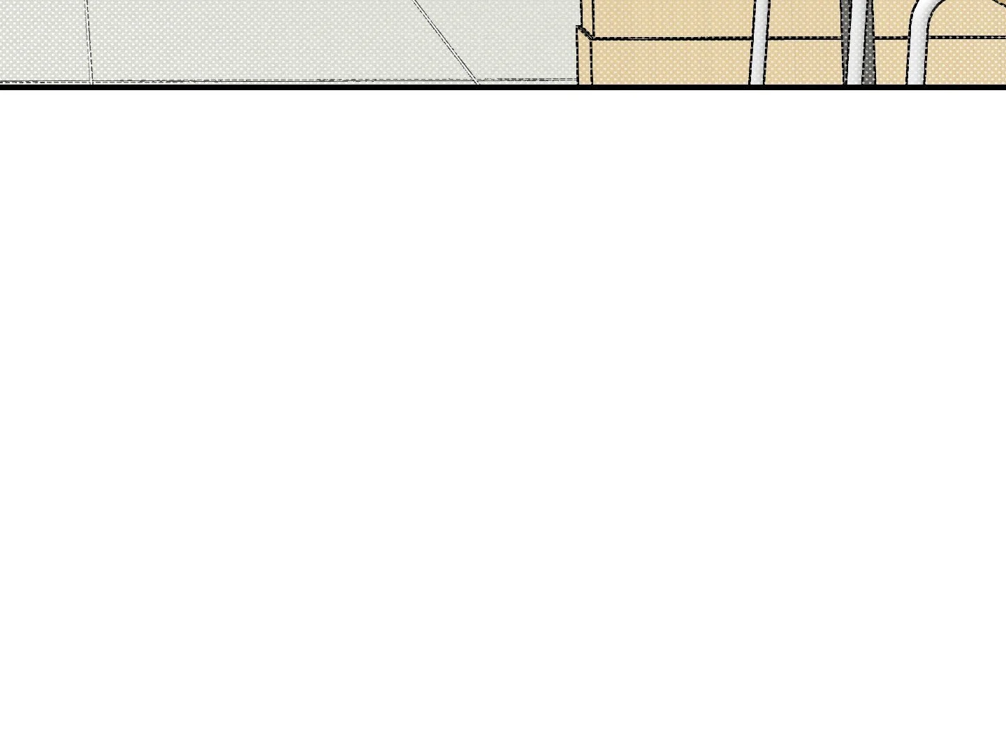 Page 251