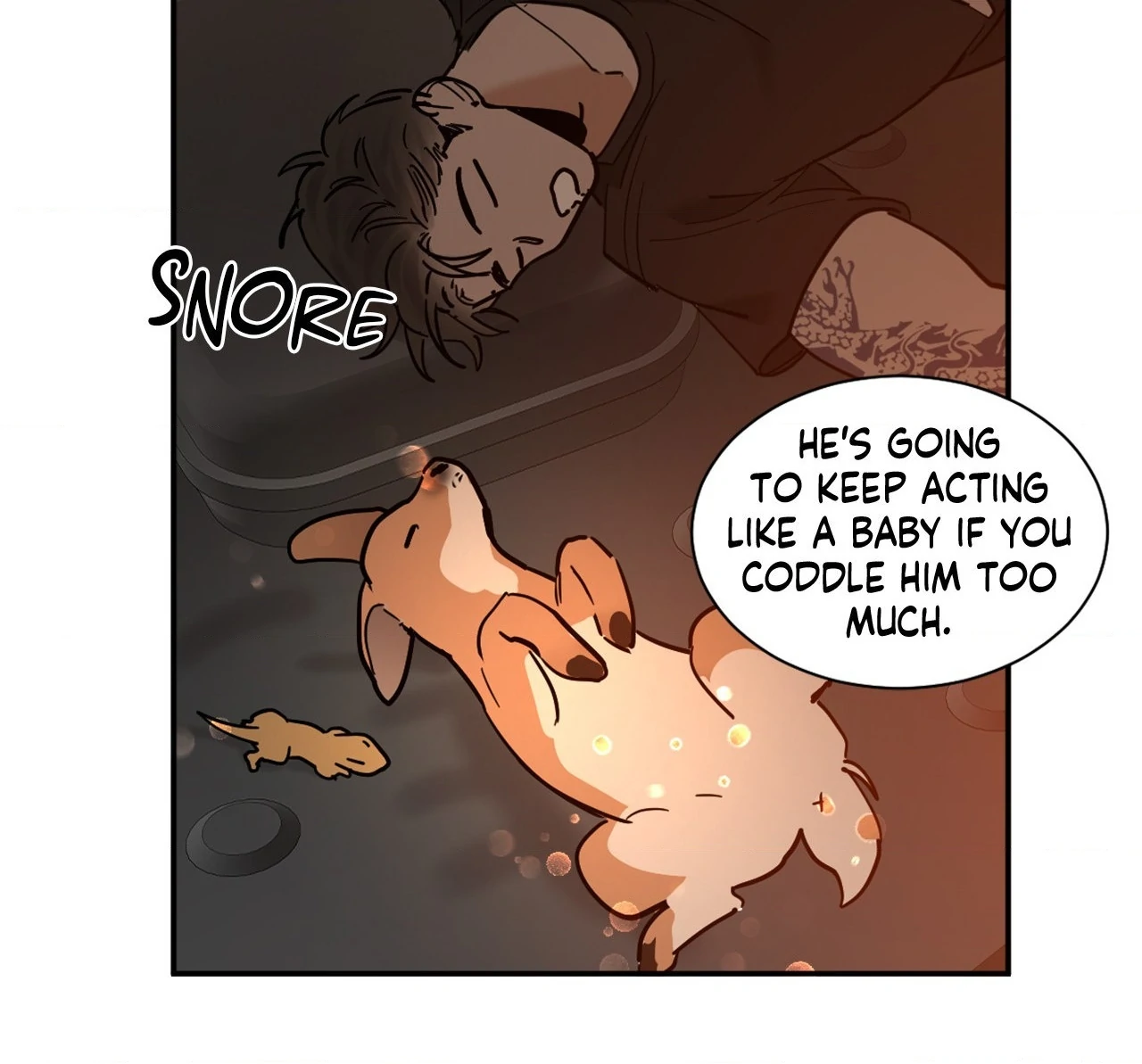 Page 43