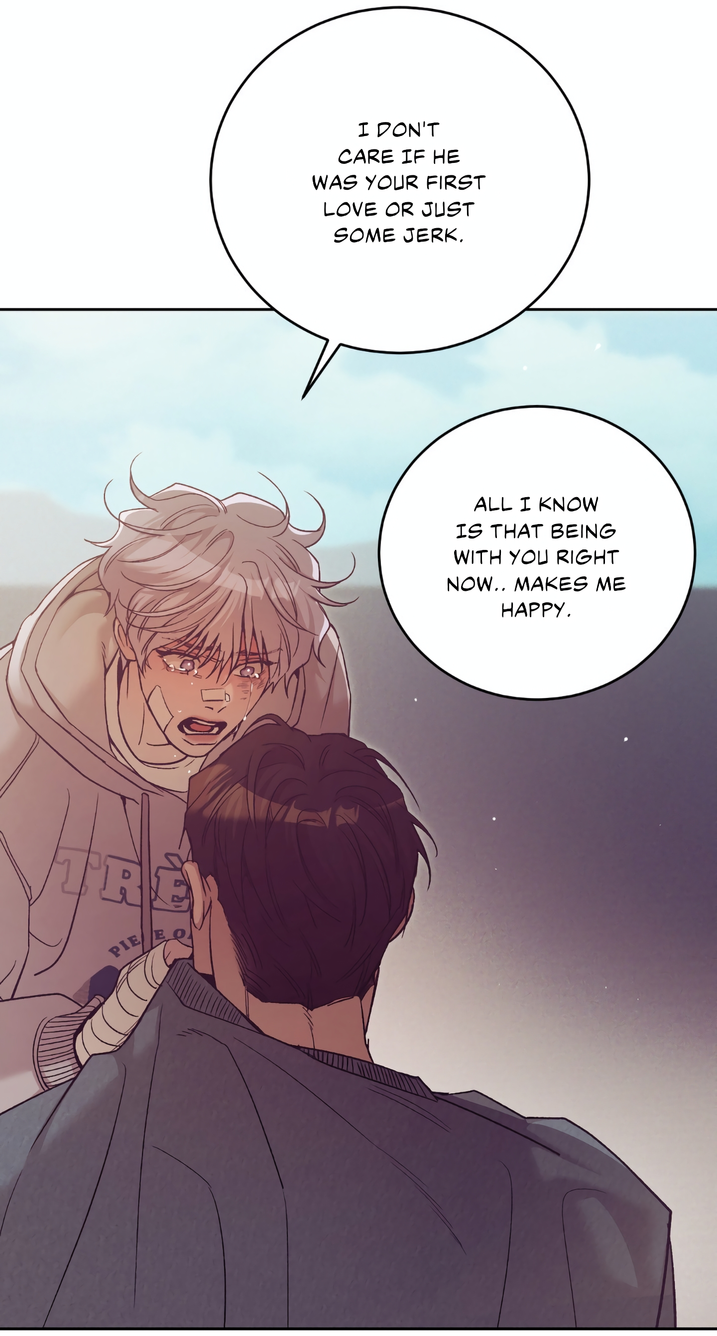 Page 111