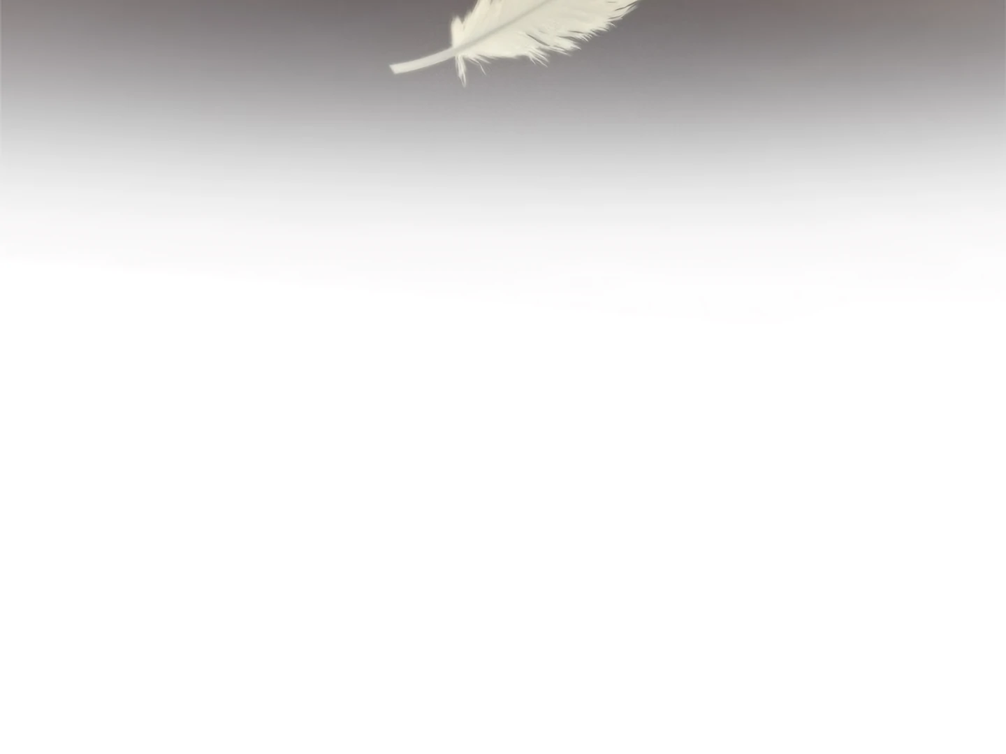 Page 211