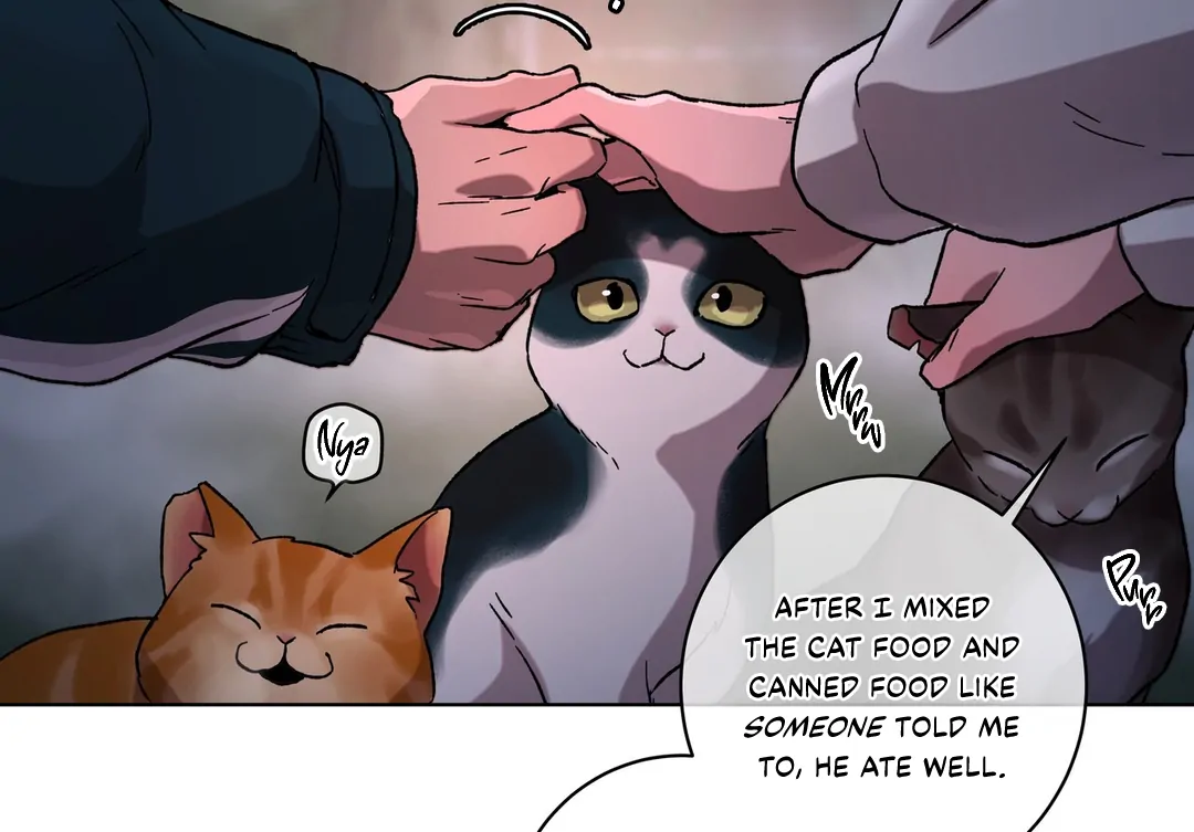 Page 216