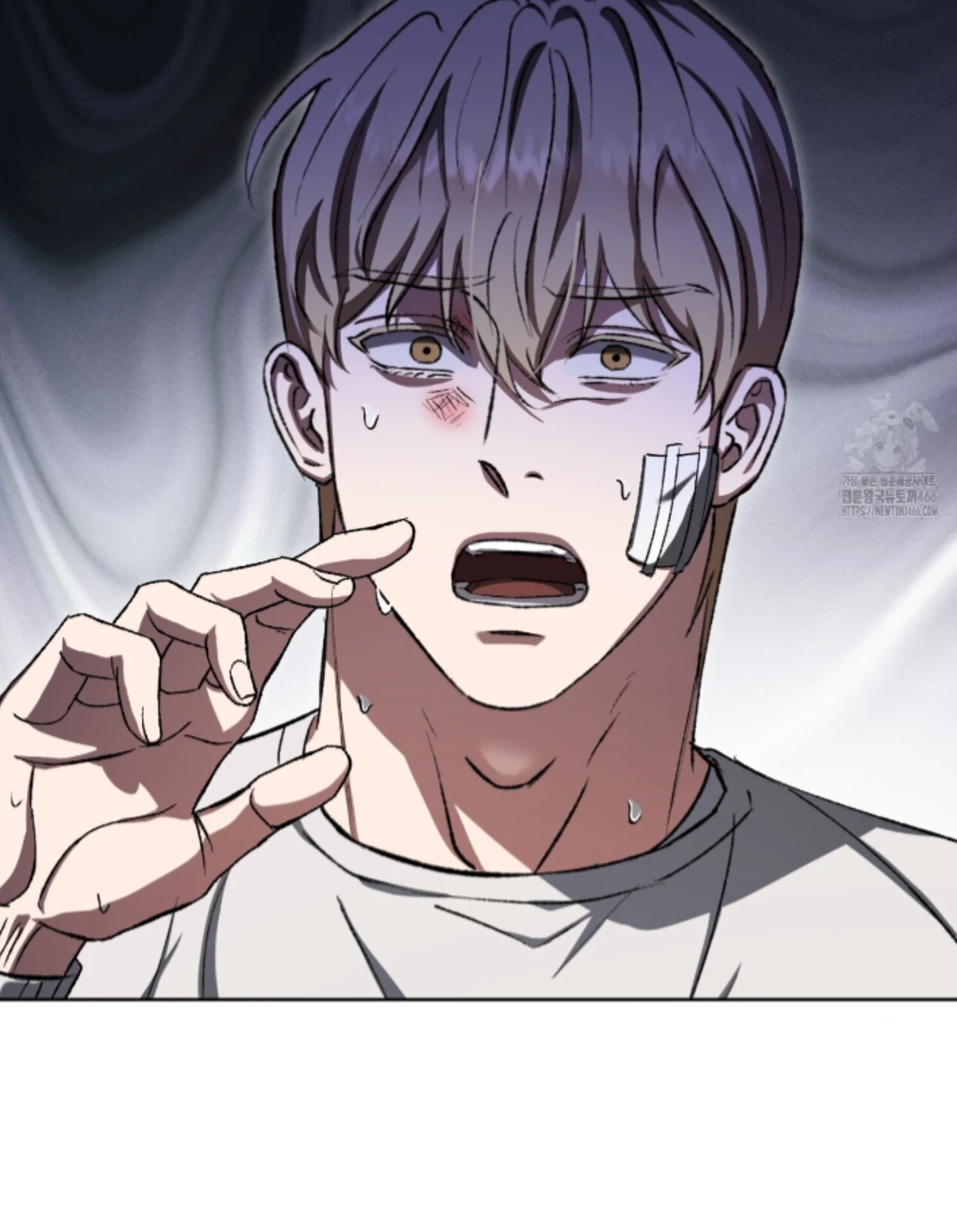 Page 101