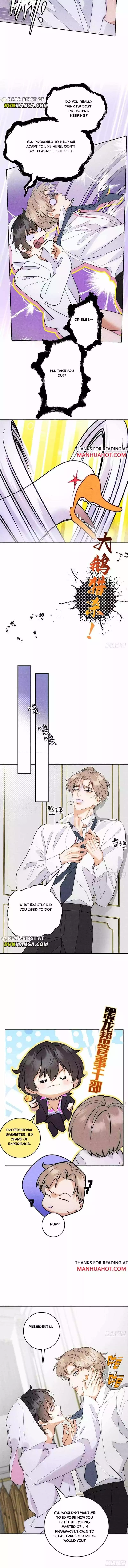 The golden goose dressed as Alpha boss - Chapter 5 - YaoiScan