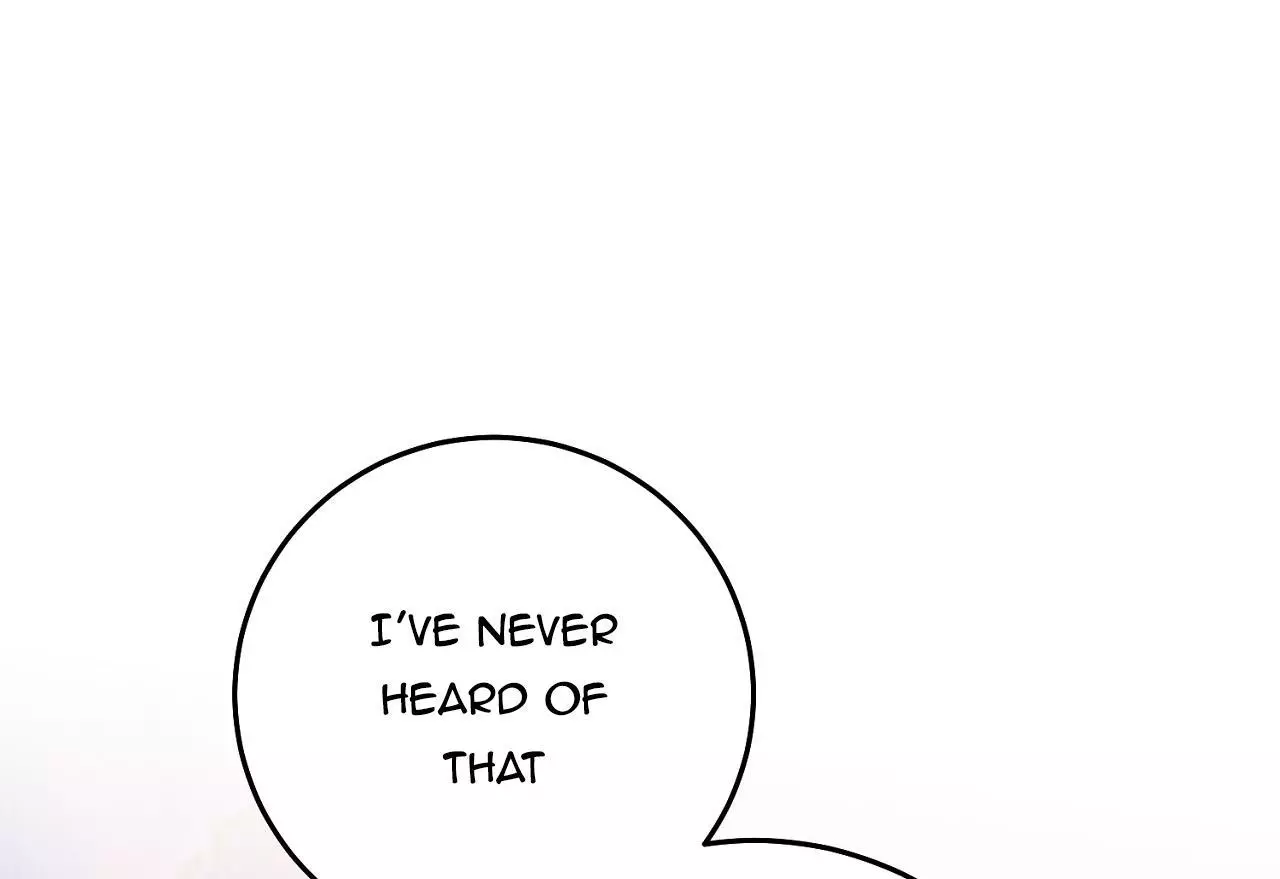 Page 213