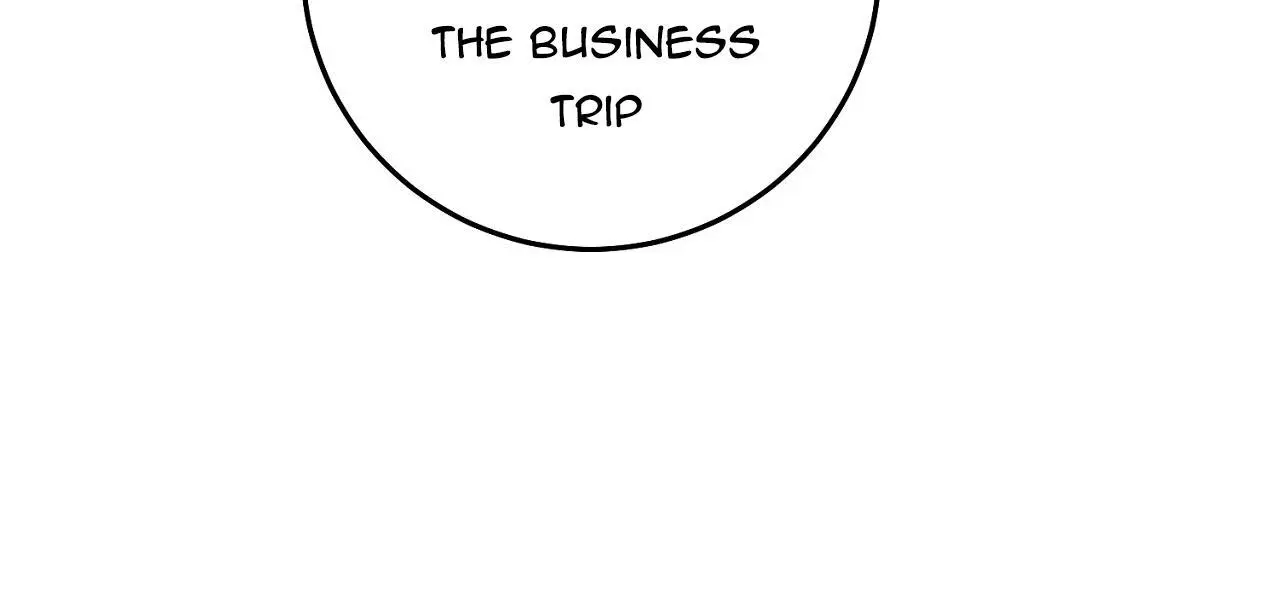 Page 242