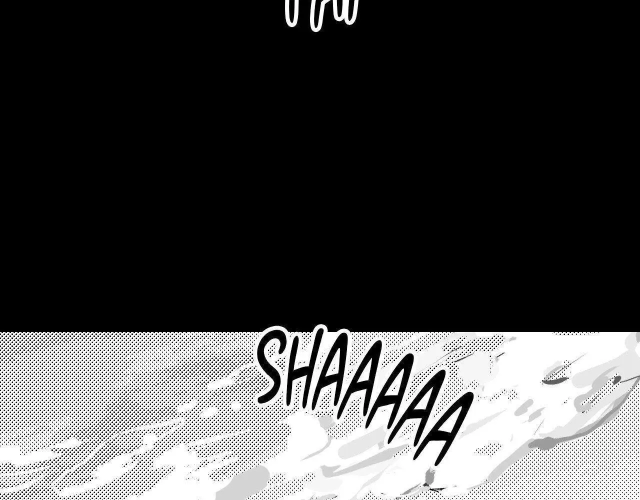 Page 251
