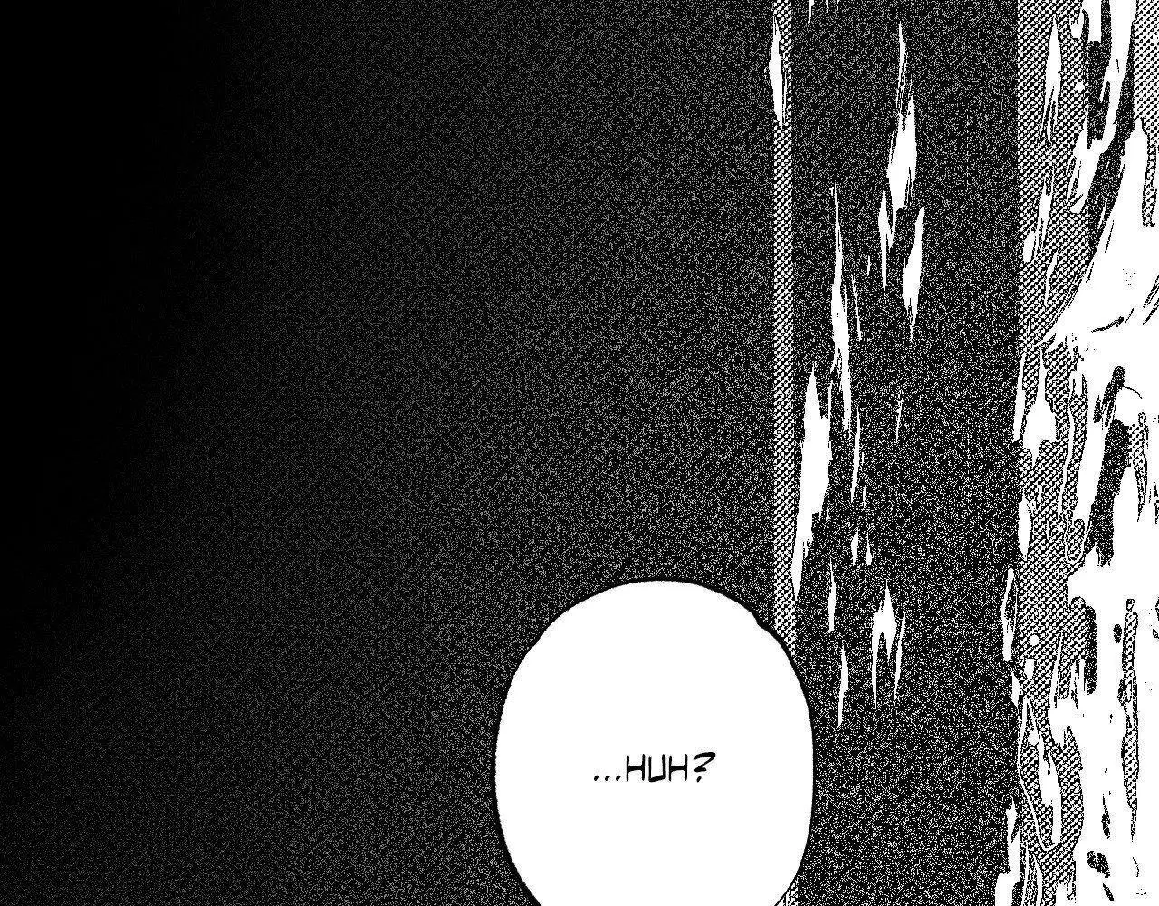 Page 294
