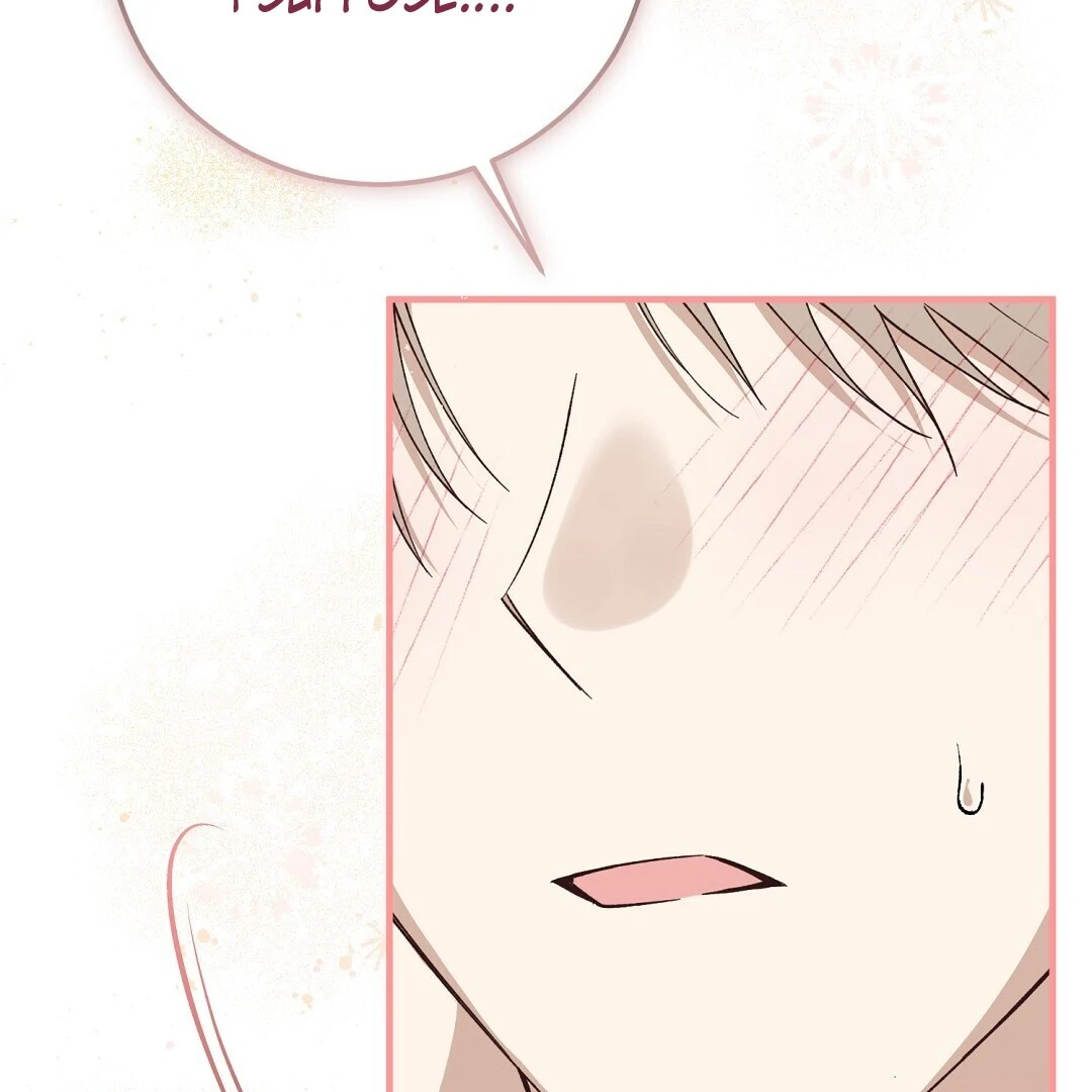 Page 244