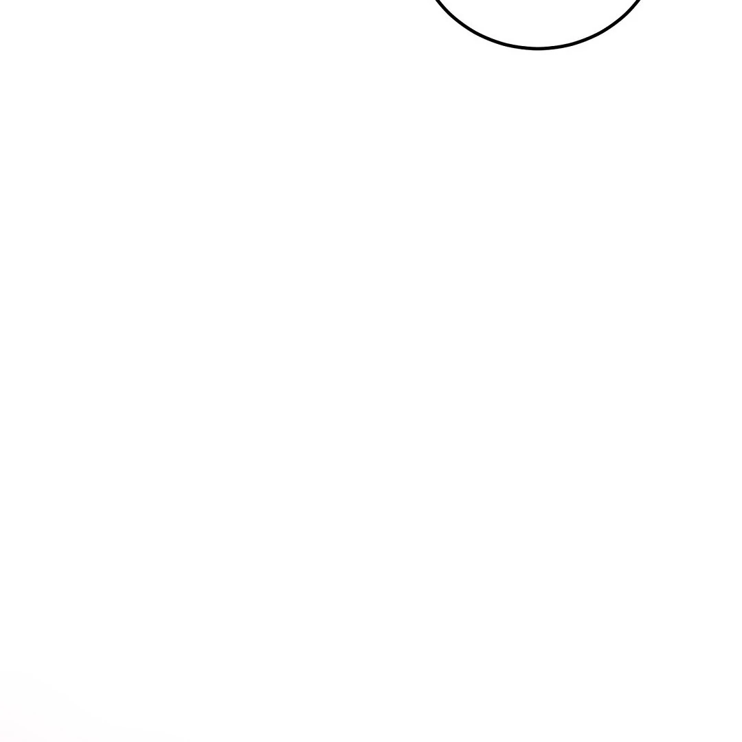 Page 215